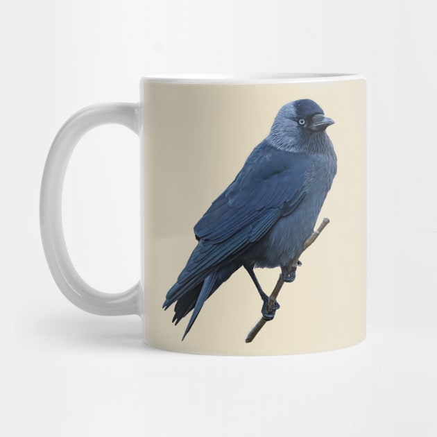 Jackdaw by dalyndigaital2@gmail.com